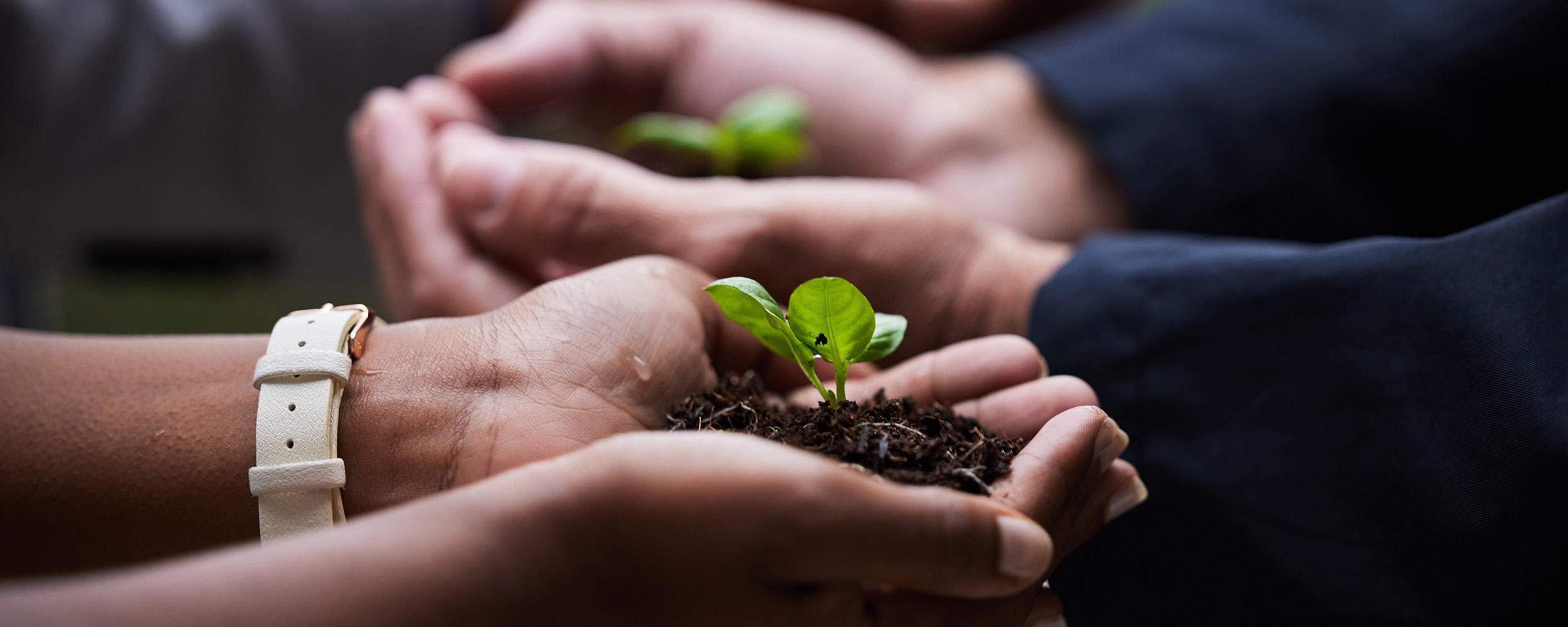 UAN  UAN TRUSTEESHIP COUNCIL
